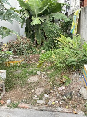 bán 40m đất đường oto tránh nhau sát ngay thành phố thông minh cách cầu nhật tân 1km hải bối đa-hn