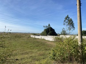 bán 15000m2 đất vườn đường xuyên phước cơ trung tâm xã hồ tràm tp hcm