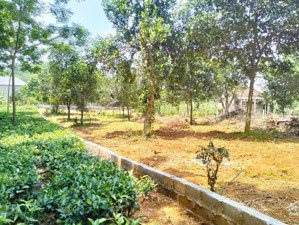 4,6 tỷ sở hữu 1440m2 có 200m đất ở, mặt tiền 25m, đường thông, view thoáng đẹp, suối hai, hà nội