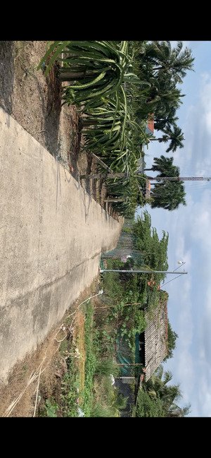 chính chủ bán gấp lô đất thổ 5x46m xã an lục long, long an