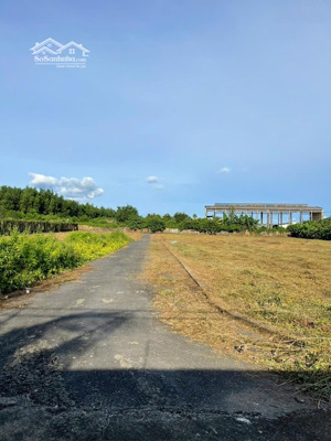 bán đất nền giá rẻ tại xã trị an, đồng nai, 590 triệu, 110m2 view đẹp