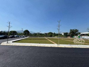 bán gấp đất nền tại phú cát, quốc oai, sát công nghệ cao, đại học quốc gia