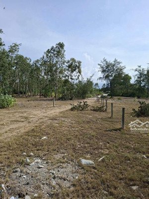 đất thổ cư, giá đầu tư, gần biển