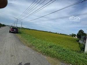 siêu phẩm đất: 1 hecta - 2 mặt tiền đường + mặt tiền sông điểm vàng phát triển tại gò công tây