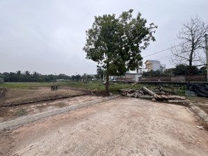 bán đất đấu gia khu x2 trạch mỹ lộc, đường ô tô tránh nhau, cạnh tl418, tài chính hơn 3 tỷ