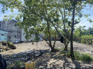 bán đất tại trung đông 10, hóc môn, 40 tỷ, 713m2 chỉ với siêu đẹp