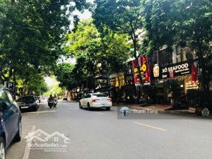 siêu hiếm 25 tỷ - nhà 5t vị trí vàng mp võ văn dũng-hoàng cầu vỉa hè kd sầm uất dt 42,5m mt 3,4m