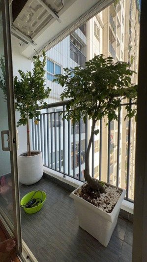 bán căn hộ chung cư ecohome phúc lợi - long biên