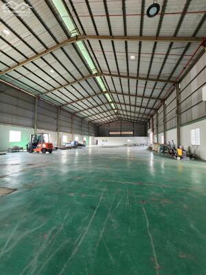 CHO THUÊ XƯỞNG SẢN XUẤT TẠI CẦN GIUỘC LONG AN- PCCC TỰ ĐỘNG- ĐƯỜNG CONT