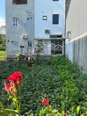 đất mặt đường tuệ tĩnh - đẹp - hướng nam - khu trung tâm - ninh tiến - hoa lư - ninh bình