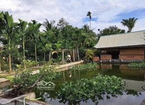 bán nhà vườn nghỉ dưỡng tuyệt đẹp 900m2 giá 680tr, ngay bàu bàng, sổ sẵn.