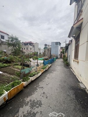 bán đất đường ngô xuân quảng gia lâm.