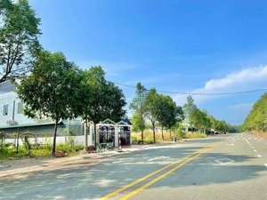 cần ra gấp lô đất ngay đường db4, p.vĩnh tân, tân uyên chỉ 500 triệu cách kcn vsip2 300m, đường 6m.