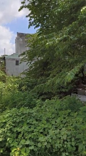 bán đất giá rẻ gần đường hoàng minh chánh cách ql 1k chỉ 500m - 508,6m2 - 2,2 tỷ