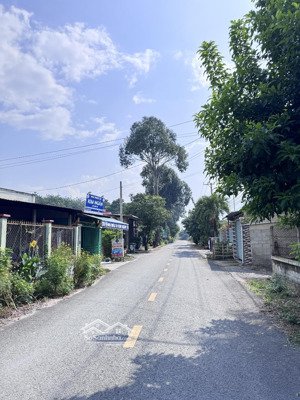 hàng thơm xuất hiện mặt tiền 1/ tỉnh lộ 15 đất đẹp giữ tiền, xây trọ, làm xưởng, làm nhà vườn