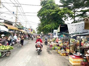 tôi cần bán nhà cấp 4 rộng 120m2 ngay trường tiểu học phong phú, tphcm sổ hồng riêng