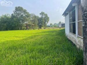 TÔI CHÍNH CHỦ BÁN ĐẤT LÔ ĐẤT XÃ CẦN ĐƯỚC, TỈNH TÂY NINH.