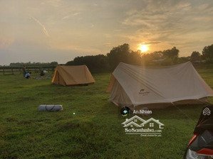 đất vườn nghỉ dưỡng view hồ trị an, đảo ó, sẵn cây ăn trái lâu năm, giá cực mềm chỉ 995tr sở hữu