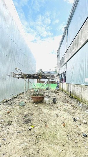 tôi chính chủ cần bán lô đất kiệt tôn đản , hòa phát,cẩm lệ