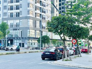 cần cho thuê căn hộ fpt plaza 2 nhiều lựa chọn, giá tốt, có thể ở ngay - bđs rồng đỏ chuyên fpt