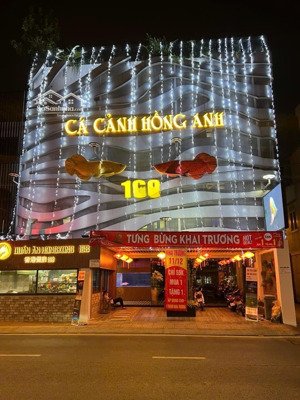 bán gấp nhà mt 13b hồ hảo hớn p.cô giang quận 1 ( 10x20m) - 2 tầng - hđt: 150 triệu - giá 50 tỷ