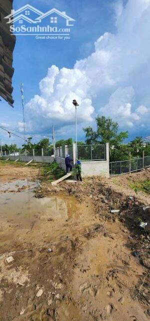 Gia đình chuyển về Sài Gòn sinh sống, không người trông coi, cần bán thửa ruộng ngay trung tâm Thị Trấn Cần Đước, Long An.