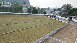 ĐẤT NỀN DIỆN TÍCH LỚN – HƠN 400M² – CHỈ VÀI TRIỆU/M² TẠI NHUẬN TRẠCH LƯƠNG SƠN HÒA BÌNH