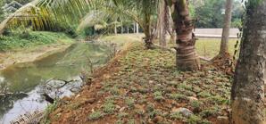  CHÍNH THỨC MỞ BÁN KHU DÂN CƯ CHỢ BÃI XE – HỢP KIM – PHÚ THỌ (Kim Bôi cũ – vị trí trung tâm, liền kề nghỉ dưỡng)