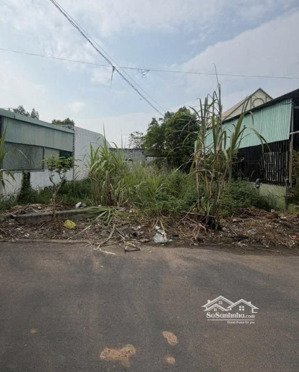 bán đất phú an, bến cát đường nhựa thông với 744 gần ngã tư phú thứ 10x31m giá 2ty600 thương lượng