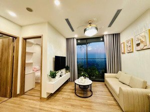 bán căn hộ 58m2 khu onsen khoáng nóng ecopark, full đồ giá tốt