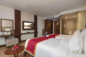 bán tòa khách sạn 3 sao vip phố nguyễn khánh toàn, 300m2 với 80 phòng doanh thu khủng: