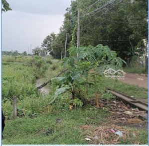 đất - nguyễn thị rành - áp bàu tròn xã nhuận đức - củ chi 820m2, thổ cư 254m2 - nhà cấp 4