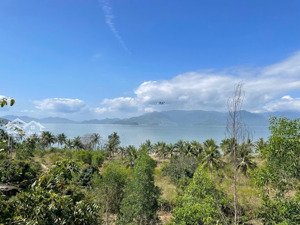 cần bán 2 ha đất view biển cực đẹp vịnh nha phu - ninh phú