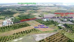 bán đất gần phước đông new city, 6 tỷ vnd, 7000 m2, hàng hiếm tại giá ưu đãi