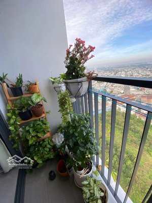 (7870) legacy central, 42 m2, sổ hồng: 1,570 tỷ. không đăng ảo. nhận ký gửi 30 ngày bán xong.