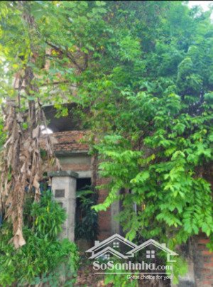 bán nhà biệt thự đã xây thô đường bảo việt, kđt quang minh, mê linh