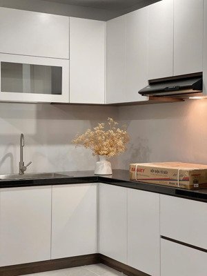 cho thuê căn hộ 1pn cửa sổ lớn gần cv gia định - sân bay tân sơn nhất (bạch đằng, tân bình)