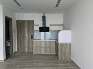 mời thuê căn hộ 1pn 1wc 45m2 đồ cơ bản view sông hồng toà sol forest 1 .hl ạ