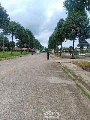 lô đất 500m2 ngay mtđ đ.d13, lai uyên, bàu bàng liền kề kcn becamex bàu bàng giá chỉ 600tr (shr)