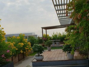 bán căn penthouse phú mỹ hưng, 550m2, 5pn, 5 toilet, căn góc 3 view. lh: 