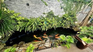 cho thuê nhà sân vườn 200m2 3pn, 4wc, khu nam hoà xuân, full nội thất