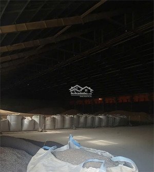 kho xưởng logistics ngay cảng quốc tế cái mép phú mỹ, cho thuê lẻ đa diện tích từ hai nghìn trở lên