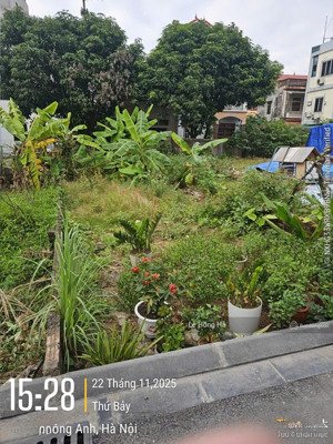 chủ bán 58.8m² đất mai lâm đông anh,mặt tiền 4m, ngõ 2.2m, gần cầu đông trù, giá 5.2 tỷ