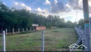 long an, long thành cần bán 1196m2 có 300m2 thổ cư