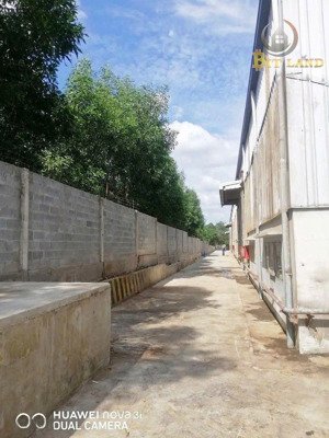 xt277 - cho thuê xưởng 8000m2 tại biên hoà, pháp lý chuẩn, có cho thuê lẻ
