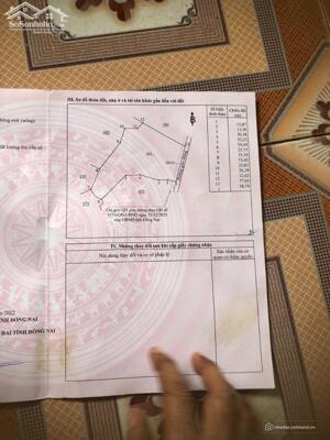 Bán đất nông nghiệp Xã Xuân Đông, Cẩm Mỹ, Đồng Nai