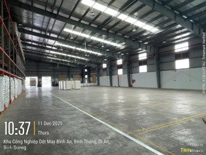 cho thuê kho, kho linh hoạt, cfs,... tại kcn dệt may