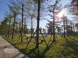 cần bán nhanh lk 6-72 noble palace tây thăng long | 2 mặt tiền đường chính 13,5m|giá từ 14,3 tỷ