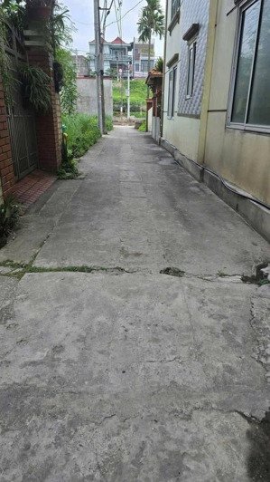 cực nóng. chỉ nhỉnh 4,5 tỷ sở hữu 41m đông ngàn, sát vin cổ loa, cầu tứ liên, ngồi nhà xem pháo hoa