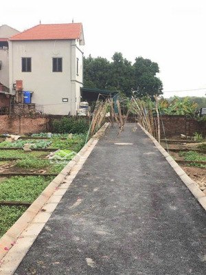 bán đất đa tốn - gia lâm oto đỗ đất - nở hậu đẹp giá hơn 3 tỷ xíu